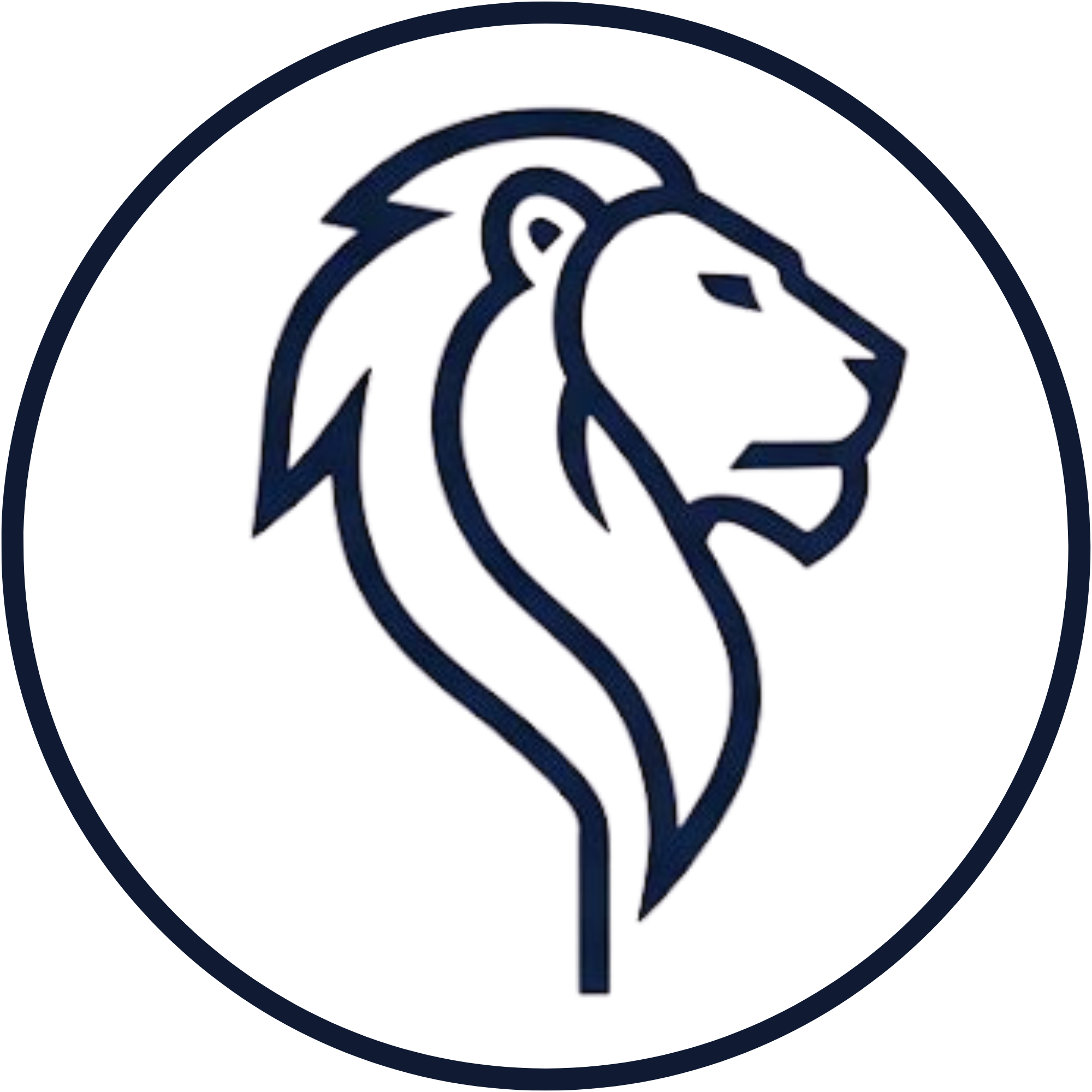 Licea Intelligence Group